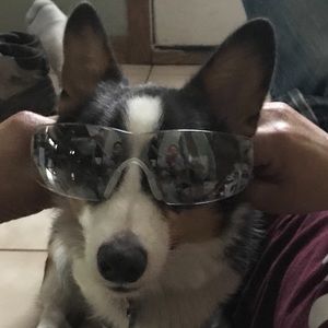 Meet your Posher, Karin